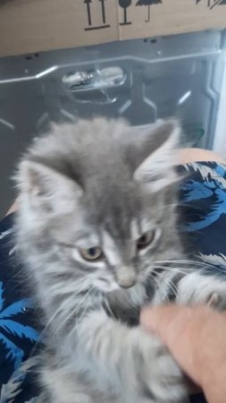Счастье живет рядом с нами