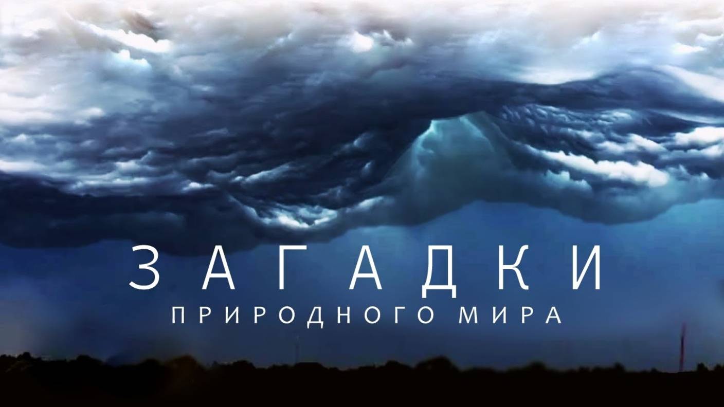 Неизведанные чудеса природы - Большой документальный фильм.