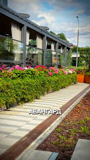 Авангард