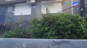 Прогулка вдоль Чернышевского ч.1