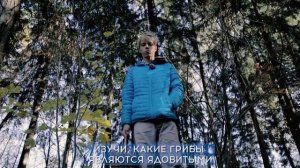 МЧС РОССИИ ПРЕДУПРЕЖДАЕТ: СОБЛЮДАЙТЕ ПРАВИЛА БЕЗОПАСНОСТИ В ЛЕСУ