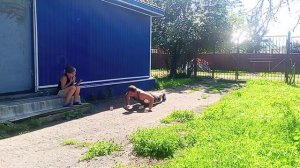 Народные Игры ГТО 3 сезон/ Иду на рекорд/ отжимания за 2 минуты/ 65 повторений