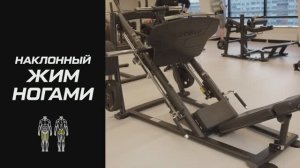 Рычажный тренажёр для наклонного жима ногами: что это такое и как пользоваться оборудованием?