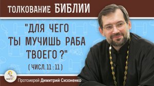 "Для чего Ты мучишь раба Твоего ?" (Числ. 11:11).  Протоиерей Димитрий Сизоненко