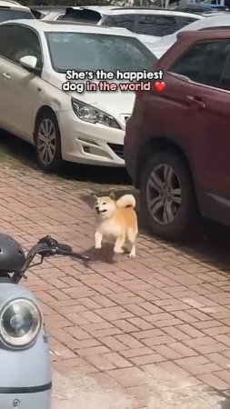 Вот оно счастье ❤️