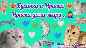 😻 Бусюша и Ириска 😻 Будни девчонок ❤️#сезонконтентаRUTUBE