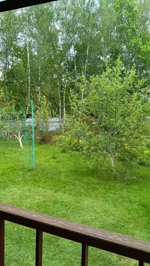VID_20250604_120629