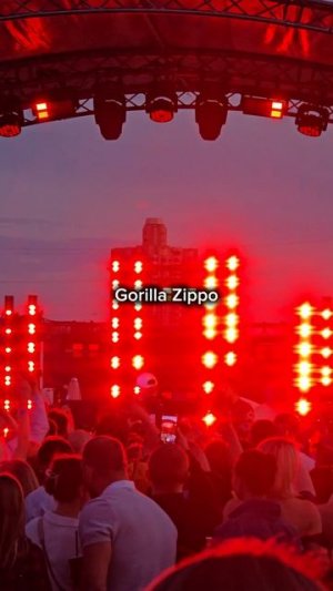 Концерт Gorilla Zippo, Москва, 06.07.2025 !