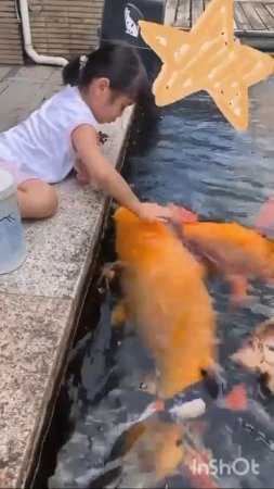 VID_20250707_004356_042.mp4