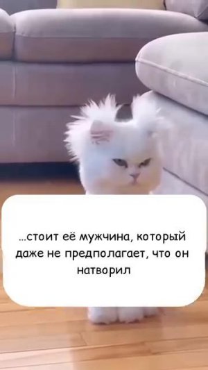 Юмор ТВ 😄
