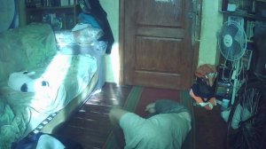 Активная планка 3 часа