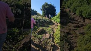 Ботанический парке. Ставрополь.