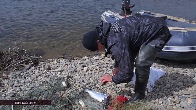 ЭХО ДНЯ 7 июля 2025