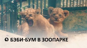 Детский сад в ставропольском зоопарке
