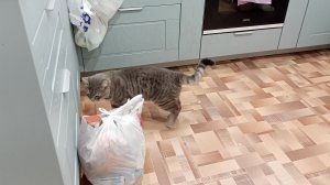 живу счастливо в деревне