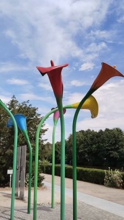 Цветы в парке в Берлине