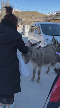Салтинский водопад Дагестан