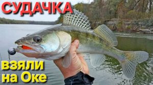 🔥Вытащили СУДАЧКА и поплыли на "Хонде" в затон🔥 ОКА и рыбалочка