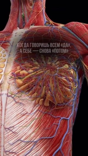 А ты уверена, что это гормональный сбой?