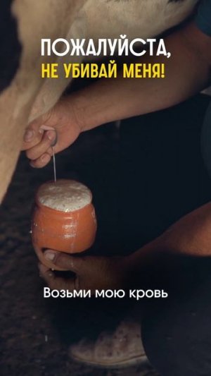Не убивайте меня