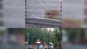 31ИЮЛЯ БУДЕТ НОВАЯ ДЕТСКАЯ ПЛОЩАДКА В СУРГУТЕ