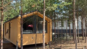 Презентация демобани