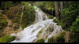 8 июля - День силы и перемен