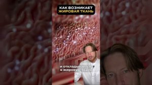 как похудеть без диет и спорта? #спорт #рецепт #зож #похудение #пп #нутрициолог #стресс #потерявеса