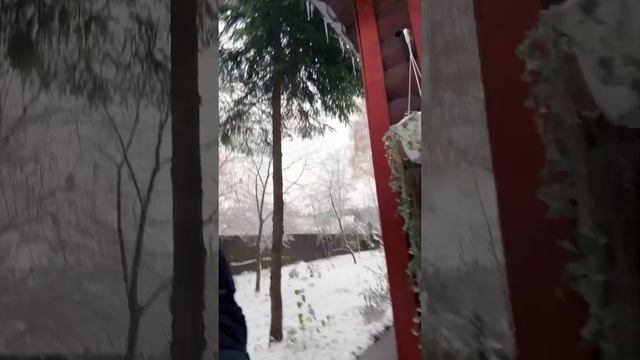 Танцы в валенках!Сезон 2024 открыт☃️ #music #dance #love #топ смотреть онлайн