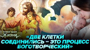 Проверка женских консультаций Тамбова. Прямая линия жизни