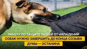 Работу по защите людей от нападений собак нужно завершить до конца созыва Думы — Останина