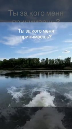 Животные приколы и не только