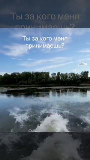 Животные приколы и не только