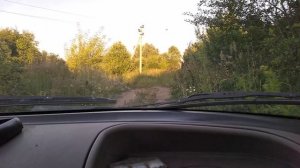на калине как на ниве