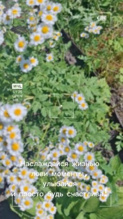 Наслаждайся жизнью