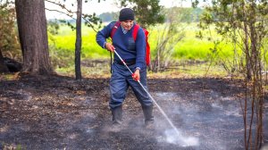 В Югре локализованы четыре лесных пожара