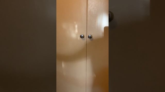 Видеообзор