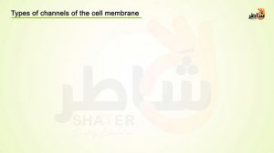 Action potential_eng (1080p with 25fps)