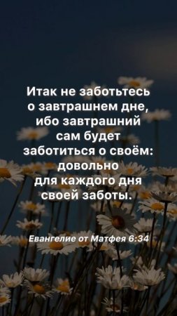 Не заботьтесь о завтрашнем дне #Библия #христианство #евангелие