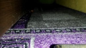 видели дафак бум на базе агентов