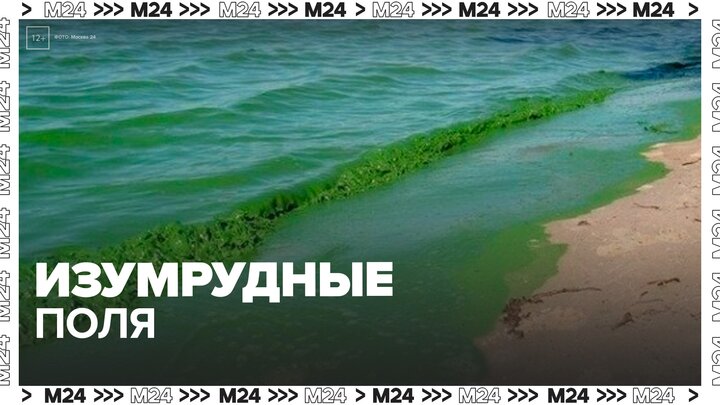 В Китае соленые озера окрасились в изумрудный цвет - Москва 24