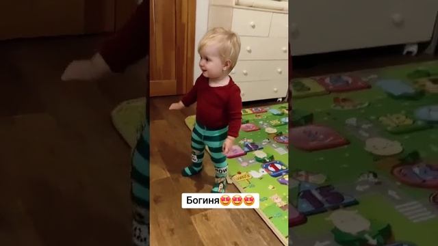 Животные приколы и не только