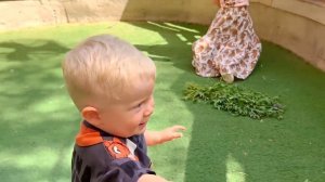 ДИАНА И РОМА - Диана, Рома и Оливер кормят животных в зоопарке