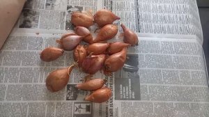 Решили побаловать себя