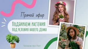ПОДБИРАЕМ РАСТЕНИЯ ПОД УСЛОВИЯ ТВОЕГО ДОМА | Гид для начинающих