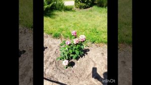 монастырь 7.07.25