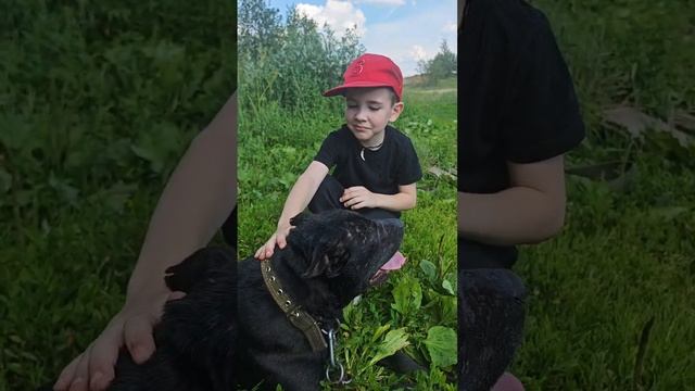 rutube.ru