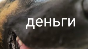 рисую кастомные деньги
