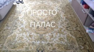 Выживание на паласе с моим другом Максимом