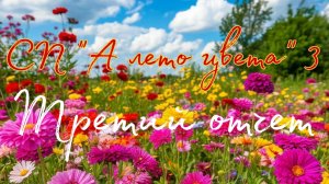 СП "А лето цвета 3" третий отчет